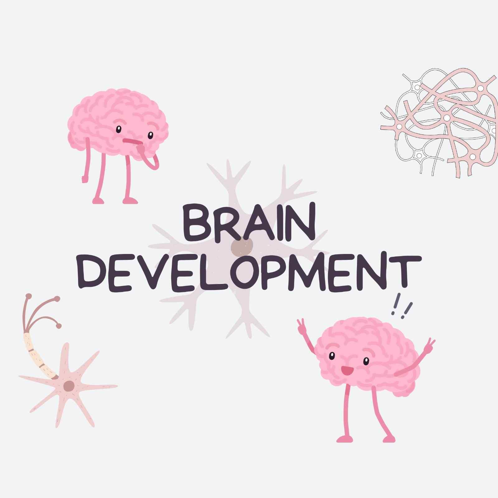 Brain Builders: Smart Kids Sharp Minds