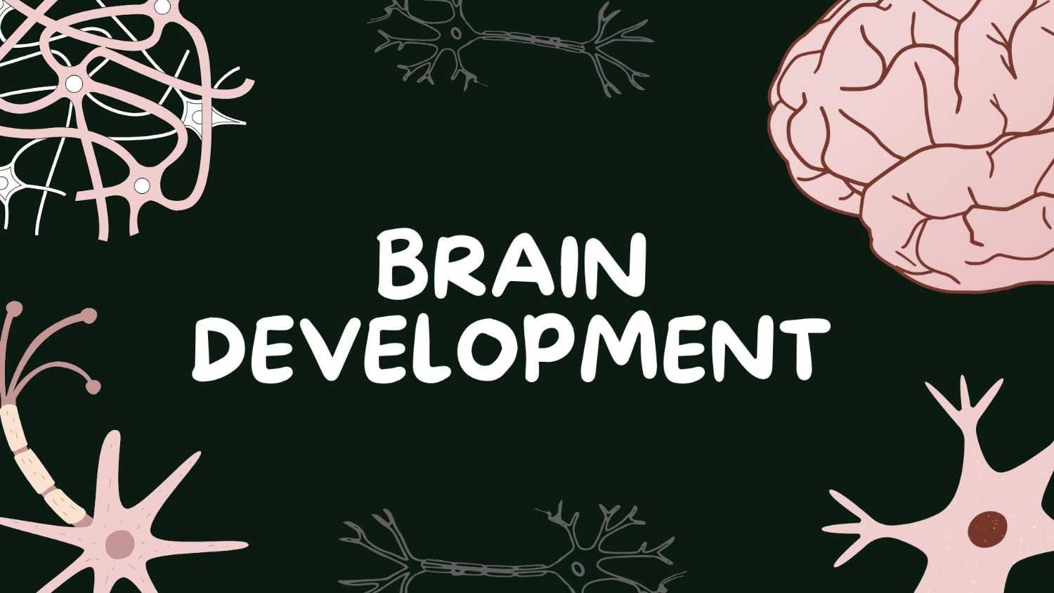 Brain Builders: Smart Kids Sharp Minds